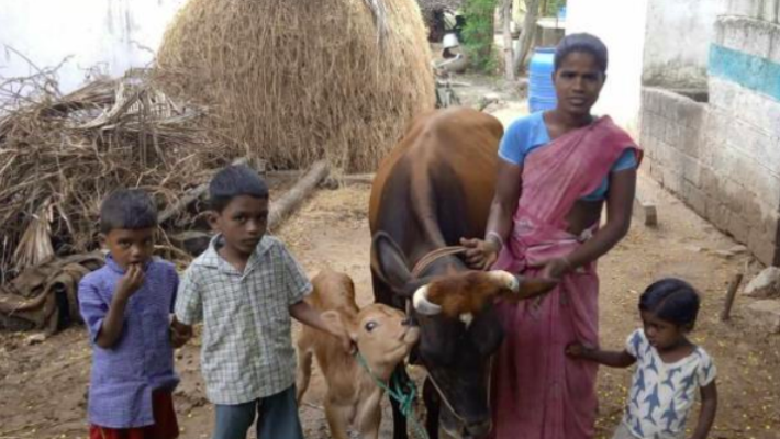Palliativ vård vid CMC Vellore Palliativ vård vid CMC Vellore